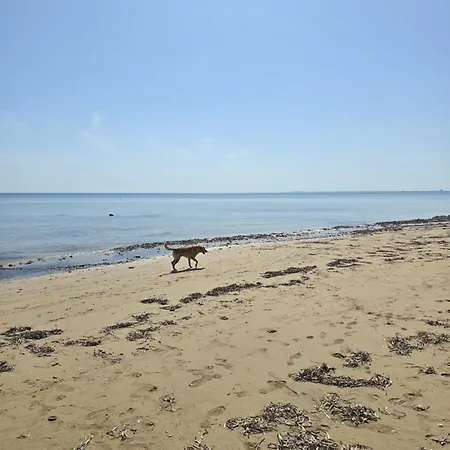 Wakacyjny W Courtyard Long Iskele District (Northern Cyprus)